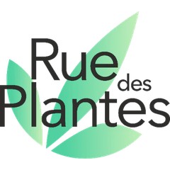 Codes promo et offres ruedesplantes.com